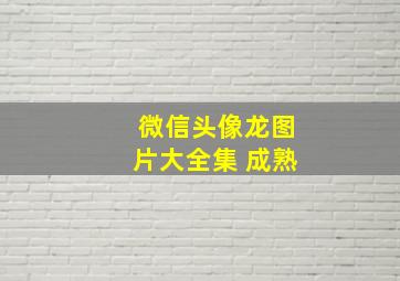 微信头像龙图片大全集 成熟